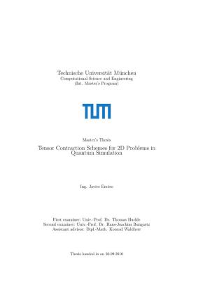 Tensor Contraction Schemes for 2D Problems in Quantum Simulation