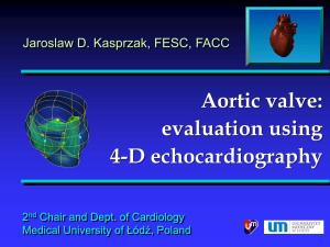 Aortic Valve: Evaluation Using 4-D Echocardiography