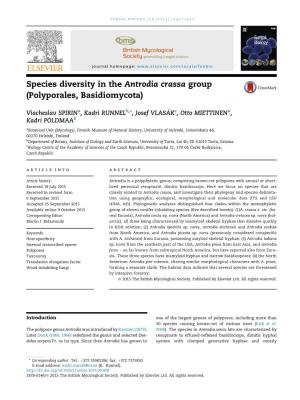 Species Diversity in the Antrodia Crassa Group (Polyporales, Basidiomycota)