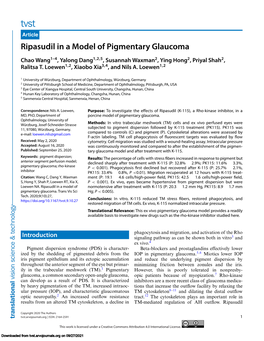 Ripasudil in a Model of Pigmentary Glaucoma