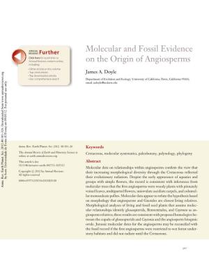 Molecular and Fossil Evidence on the Origin of Angiosperms