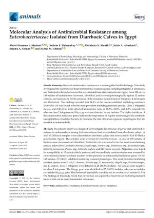Molecular Analysis of Antimicrobial Resistance Among Enterobacteriaceae Isolated from Diarrhoeic Calves in Egypt