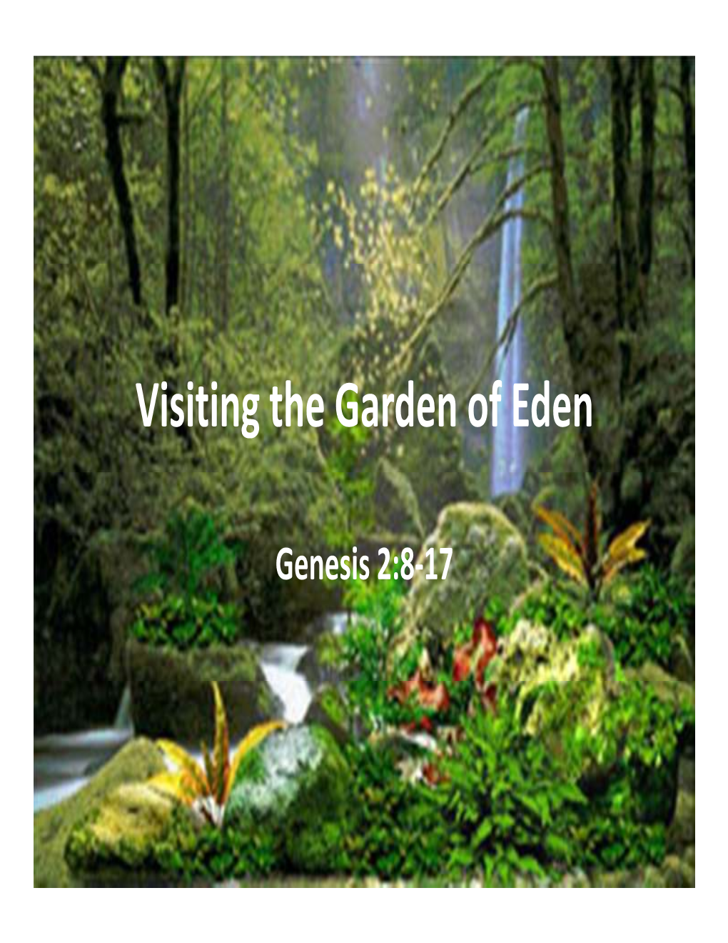 Visiting the Garden of Eden