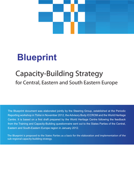 Blueprint Capacity-Building Strategy for Central, Eastern and South Eastern Europe