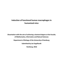 Induction of Functional Human Macrophages in Humanized Mice