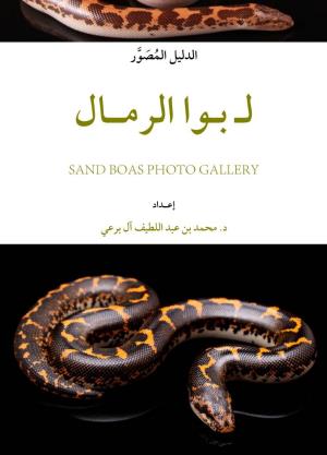 Sand Boas Photo Gallery