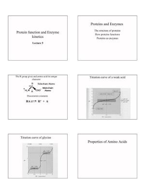 Protein Function and Enzyme Kinetics Proteins and Enzymes Properties Of
