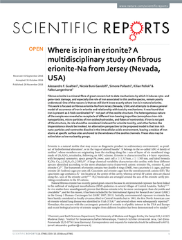 A Multidisciplinary Study on Fibrous Erionite-Na from Jersey