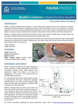 Baudin's Cockatoo Calyptorhynchus Baudinii and Forest Red-Tailed Black Cockatoo Calyptorhynchus Banksii Naso) Recovery Plan