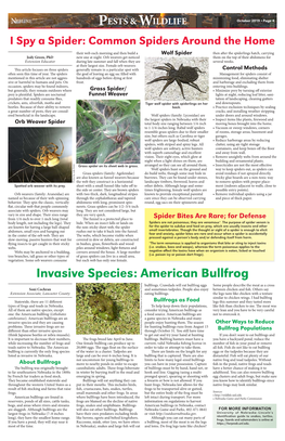 Invasive Species: American Bullfrog Bullfrogs