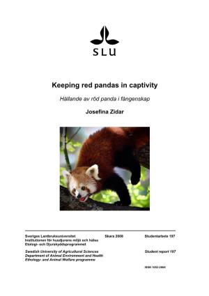 Keeping Red Pandas in Captivity