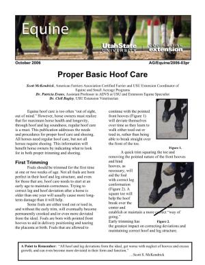 Proper Basic Hoof Care