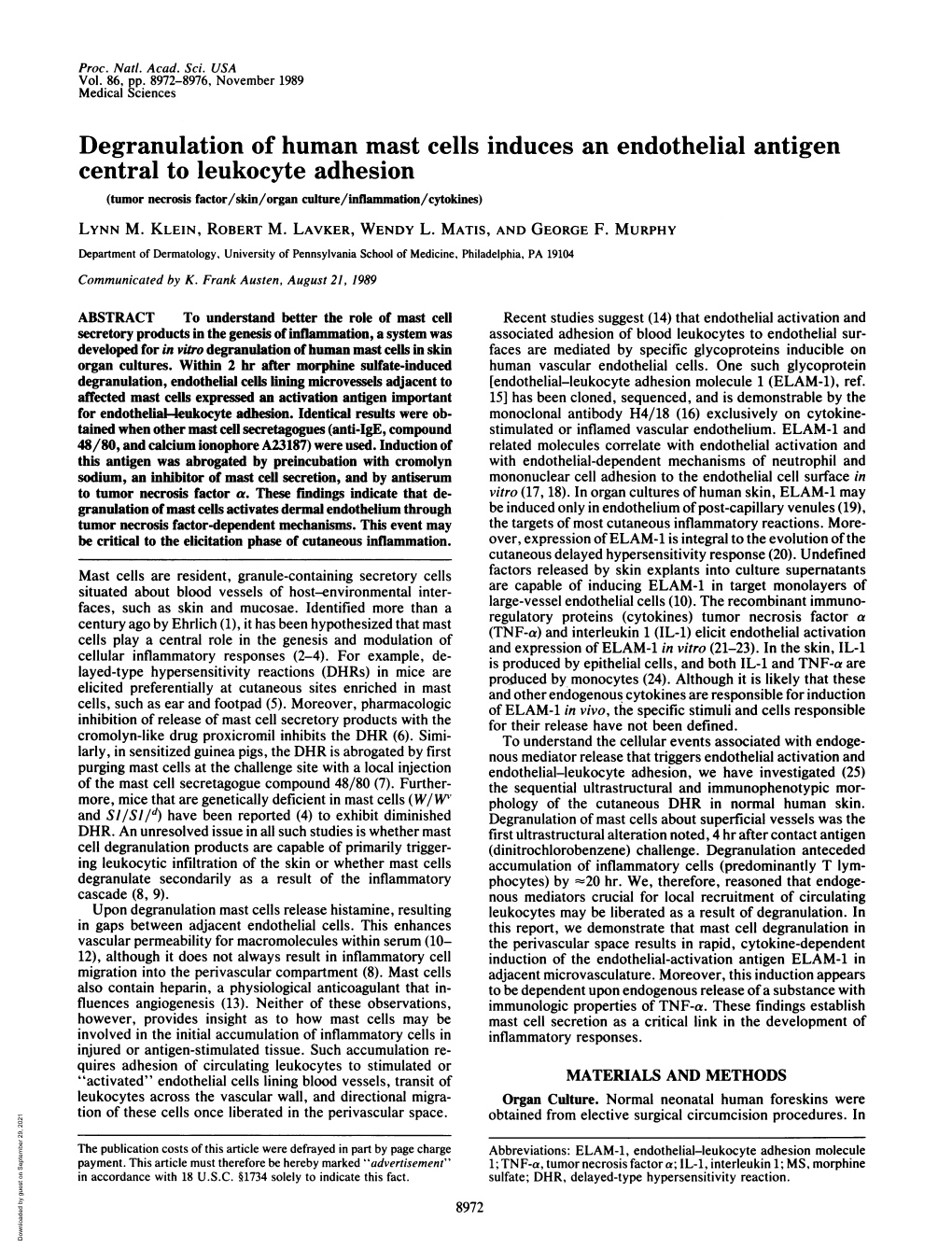 Degranulation of Human Mast Cells Induces an Endothelial Antigen