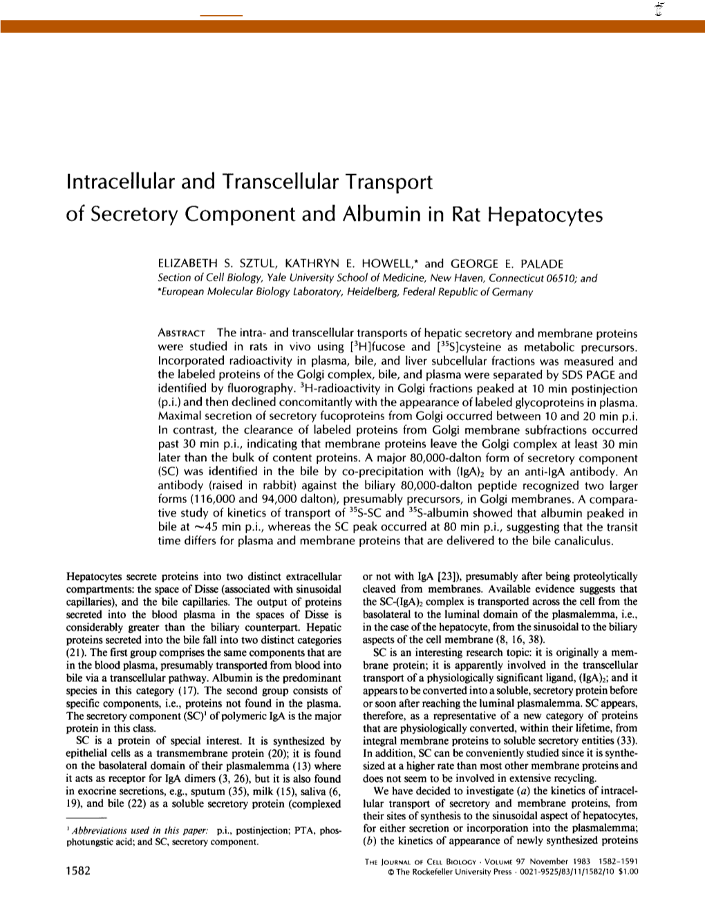 Intracellular and Transcellular Transport of Secretory Component and Albumin in Rat Hepatocytes