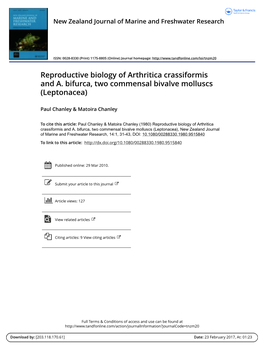 Reproductive Biology of Arthritica Crassiformis and A. Bifurca, Two Commensal Bivalve Molluscs (Leptonacea)