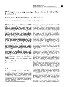 SV40 Large T Antigen Targets Multiple Cellular Pathways to Elicit Cellular Transformation