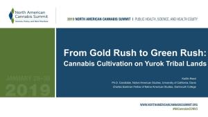 Gold Rush to Green Rush: Cannabis Cultivation on Yurok Tribal Lands