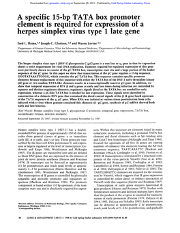 A Specific 15-Bp TATA Box Promoter Element Is Required for Expression of a Herpes Simplex Virus Type 1 Late Gene