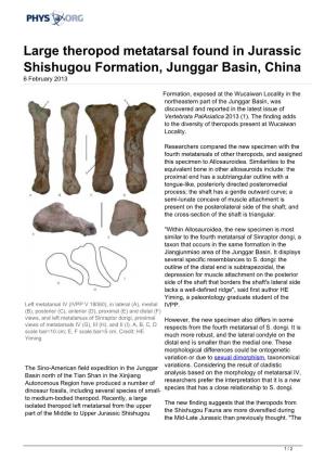Large Theropod Metatarsal Found in Jurassic Shishugou Formation, Junggar Basin, China 6 February 2013