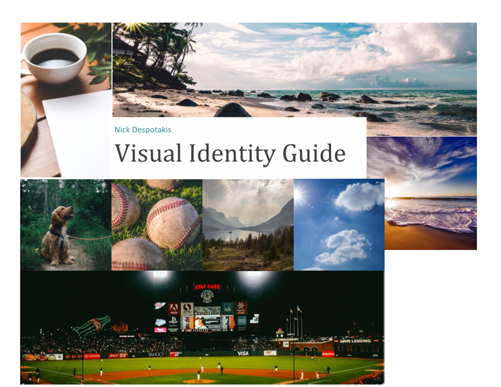 Visual Identity Guide