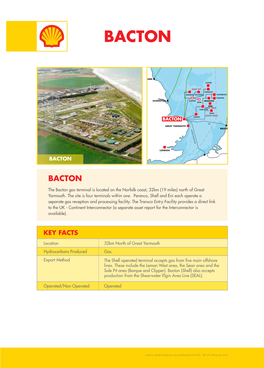 BACTON 021799 Asset Fact Sheets MARKETING