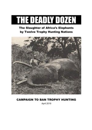 Report Stated That the Combined Toll of Poaching and Trophy Hunting Is Now Greater Than the Reproductive Rate of African Elephants