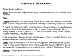 Aceraceae – Maple Family