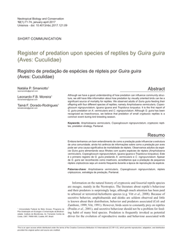Register of Predation Upon Species of Reptiles by Guira Guira (Aves: Cuculidae)