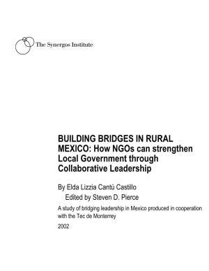 BUILDING BRIDGES in RURAL MEXICO: How Ngos Can Strengthen Local Government Through Collaborative Leadership