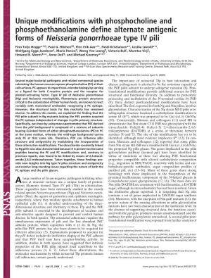 Unique Modifications with Phosphocholine and Phosphoethanolamine Define Alternate Antigenic Forms of Neisseria Gonorrhoeae Type IV Pili