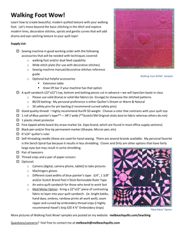 Walking Foot Wow! Learn How to Create Beautiful, Modern Quilted Texture with Your Walking Foot