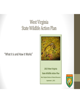 West Virginia State Wildlife Action Plan