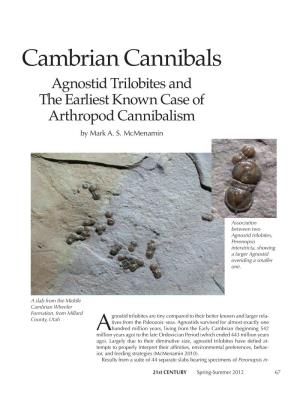 Cambrian Cannibals Agnostid Trilobites and the Earliest Known Case of Arthropod Cannibalism By