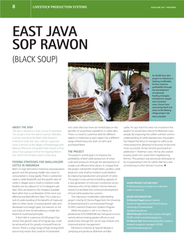 East Java Sop Rawon (Black Soup)