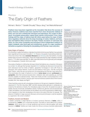 The Early Origin of Feathers
