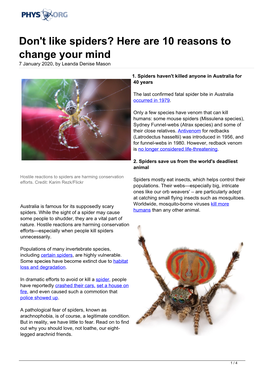 Don't Like Spiders? Here Are 10 Reasons to Change Your Mind 7 January 2020, by Leanda Denise Mason