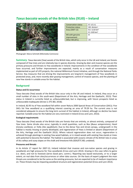 Taxus Baccata Woods of the British Isles (91J0) – Ireland