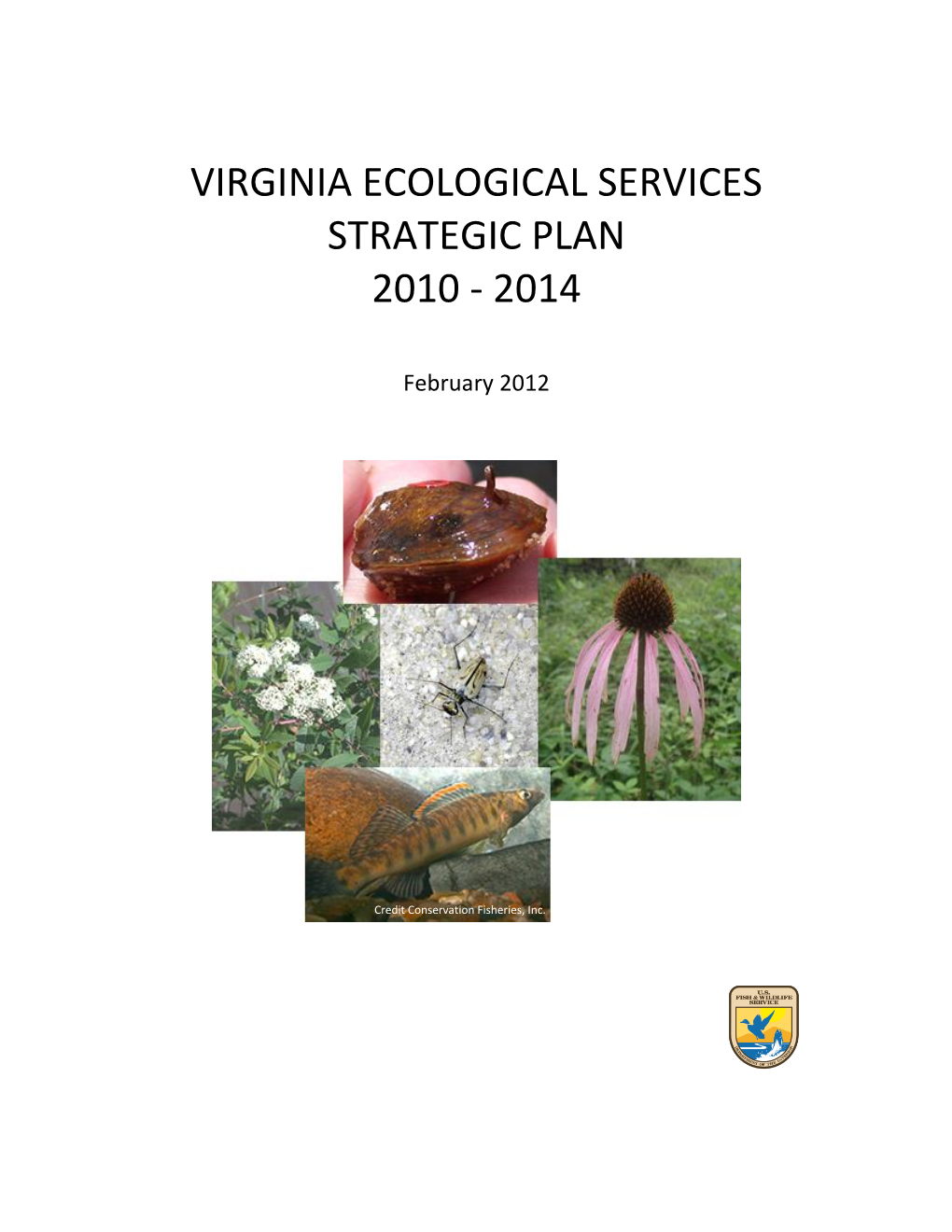 Virginia Ecological Services Strategic Plan 2010 - 2014