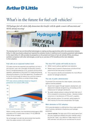 What's in the Future for Fuel Cell Vehicles?