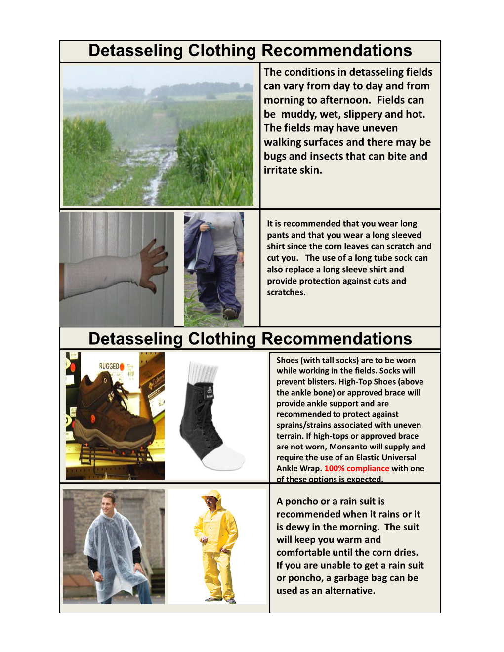 Detasseling Clothing Recommendations Detasseling