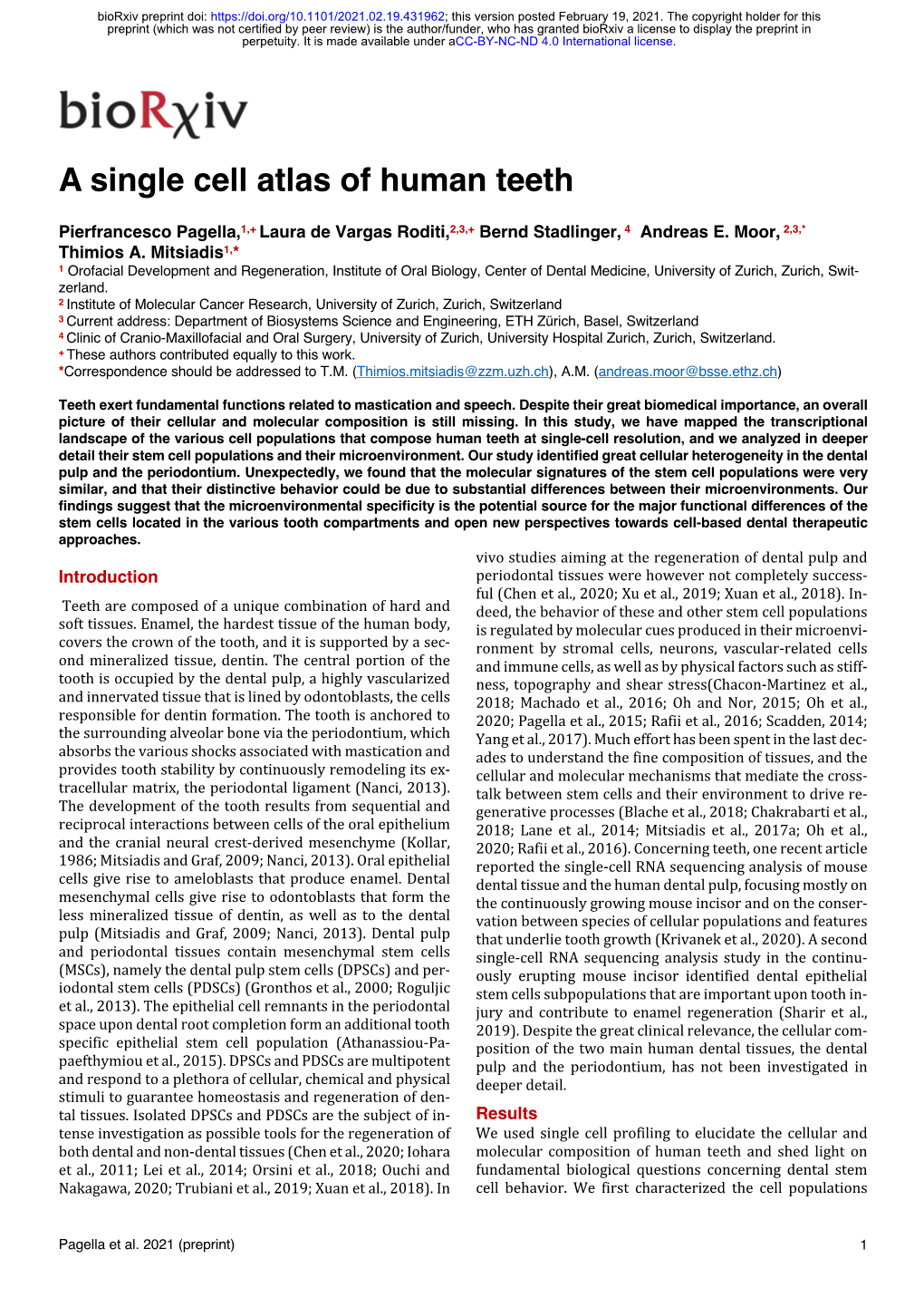 A Single Cell Atlas of Human Teeth