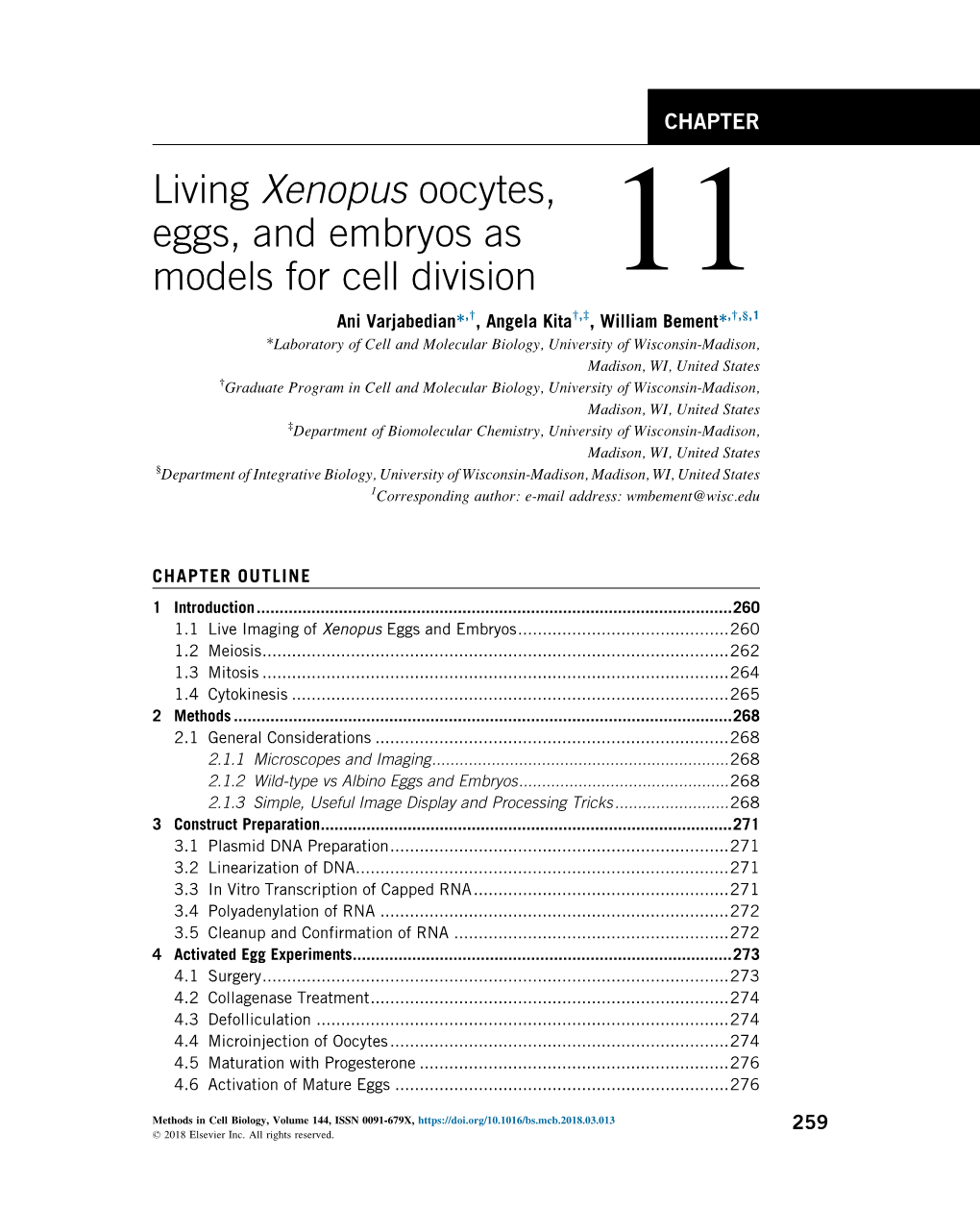 Living Xenopus Oocytes, Eggs, and Embryos As Models for Cell Division