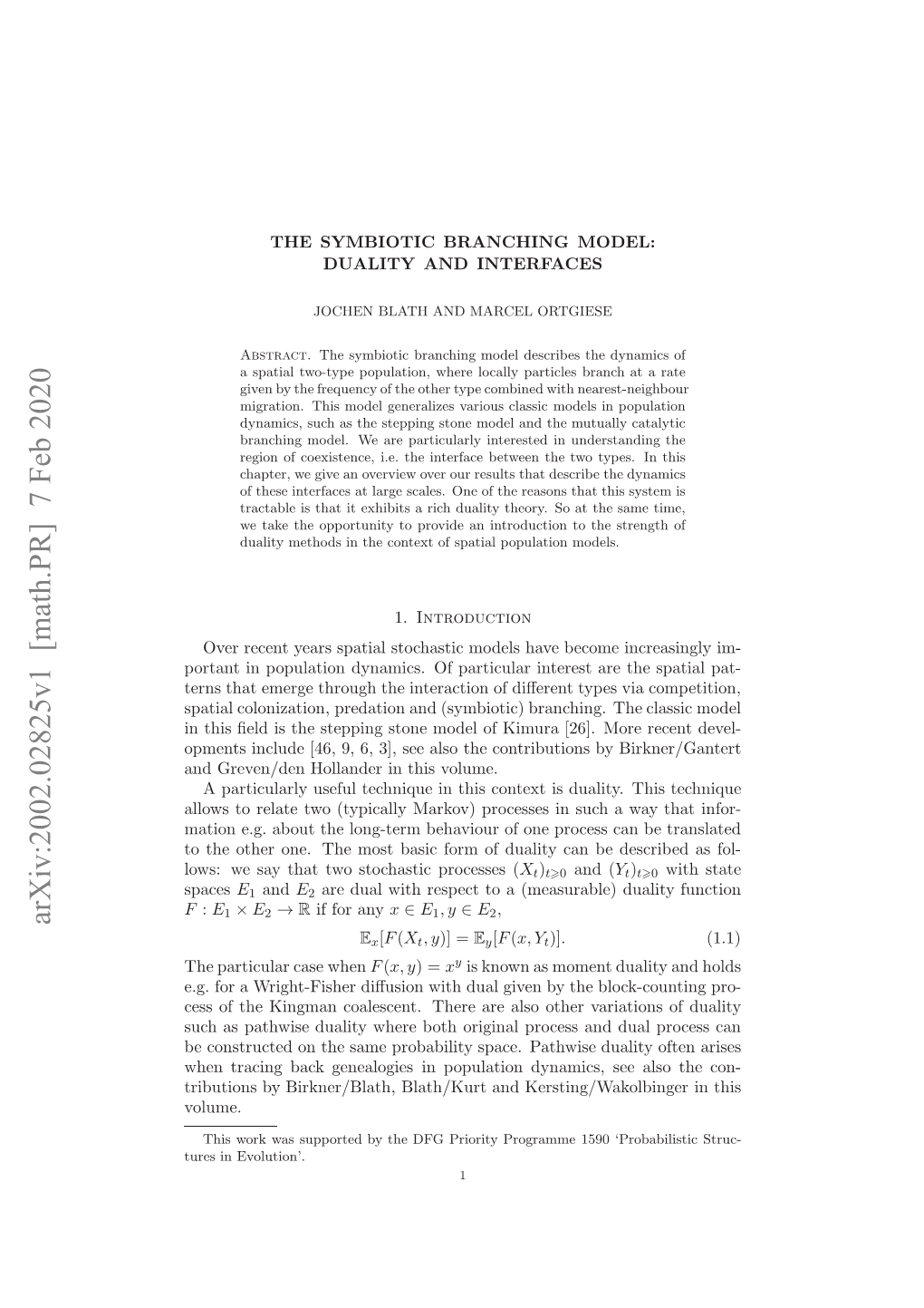 The Symbiotic Branching Model: Duality and Interfaces 3