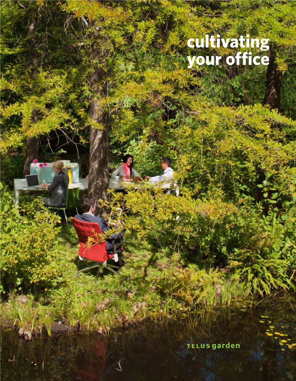 Cultivating Your Office