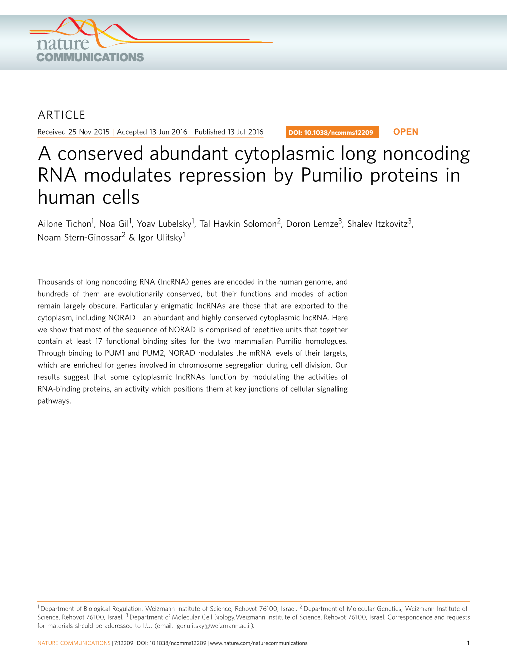 A Conserved Abundant Cytoplasmic Long Noncoding RNA Modulates Repression by Pumilio Proteins in Human Cells