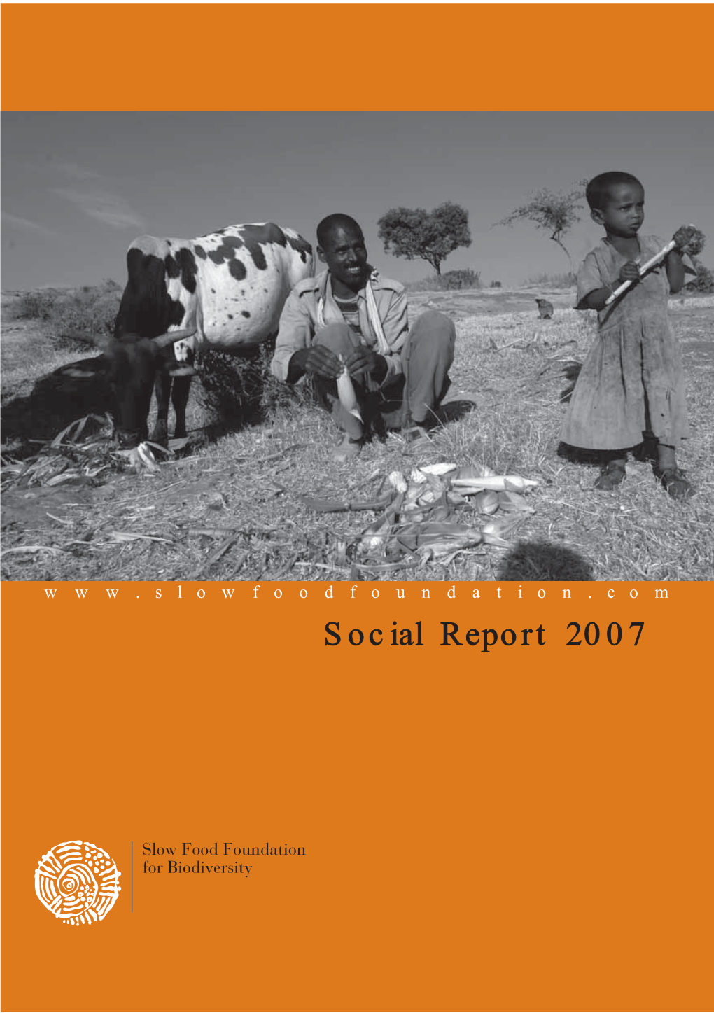 Social Report 2007