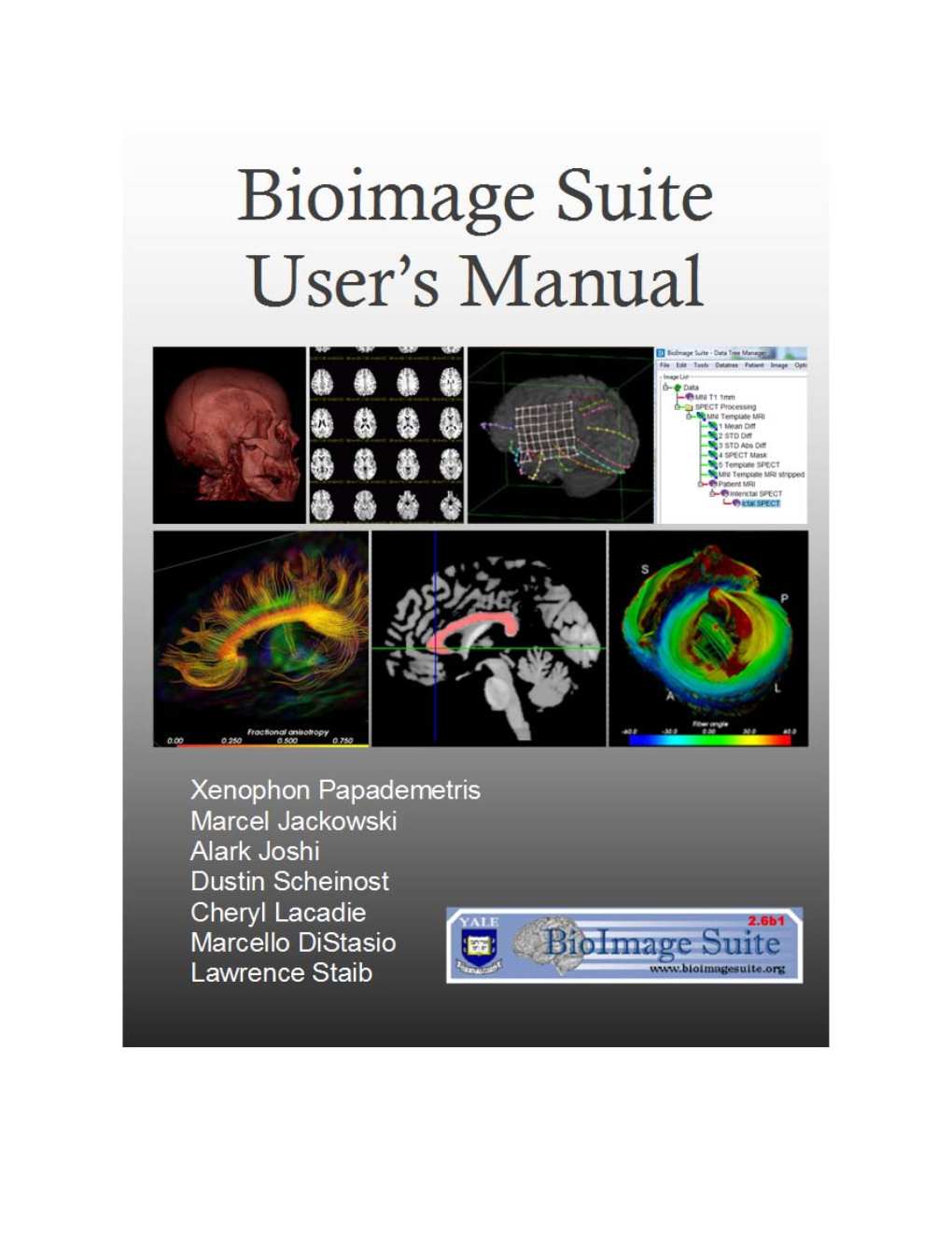 Bioimagesuite Manual 95522 2