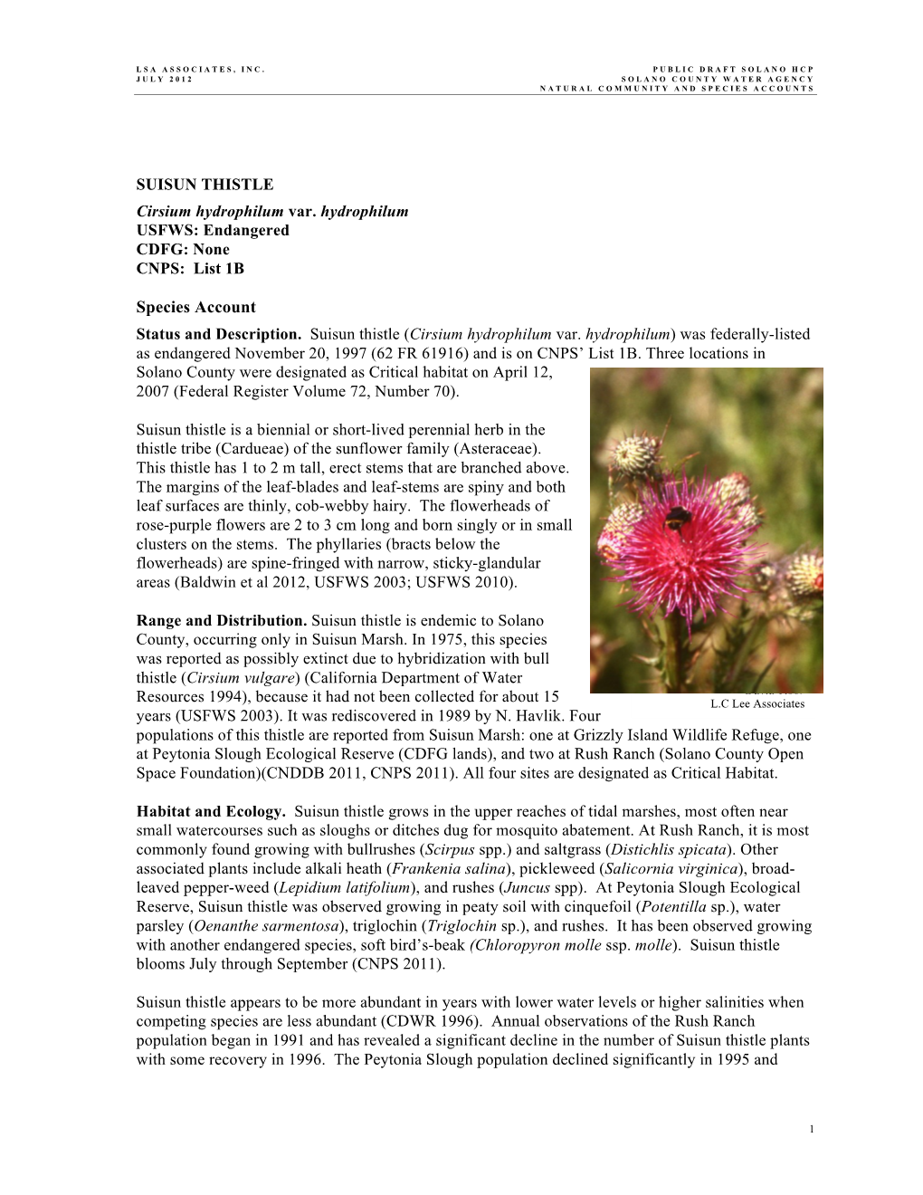 SUISUN THISTLE Cirsium Hydrophilum Var. Hydrophilum USFWS: Endangered CDFG: None CNPS: List 1B