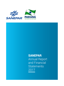 SANEPAR Annual Report and Financial Statements 2017