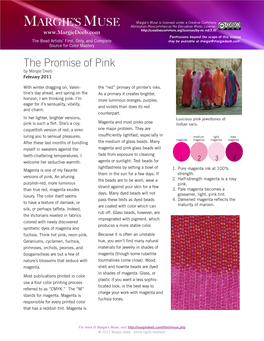 The Promise of Pink by Margie Deeb February 2011